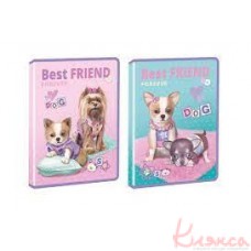 Папка об'ємна на блискавці А4 з глітером KIDIS , серія BEST FRIEND (собачки)